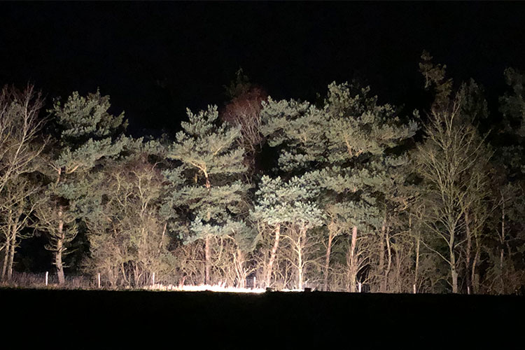 outdoor-lighting